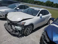 Salvage cars for sale at Apopka, FL auction: 2015 Lexus IS 250