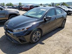 Salvage cars for sale at San Martin, CA auction: 2023 KIA Forte LX