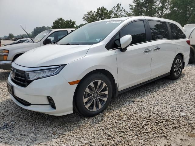 2023 Honda Odyssey EXL