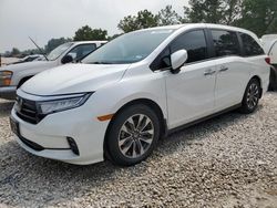 Salvage cars for sale at Houston, TX auction: 2023 Honda Odyssey EXL