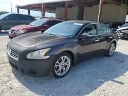 Salvage cars for sale at Homestead, FL auction: 2012 Nissan Maxima S