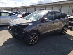Salvage cars for sale at auction: 2014 Ford Escape Titanium