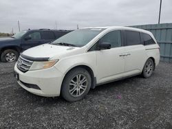Salvage cars for sale from Copart Ottawa, ON: 2012 Honda Odyssey EXL