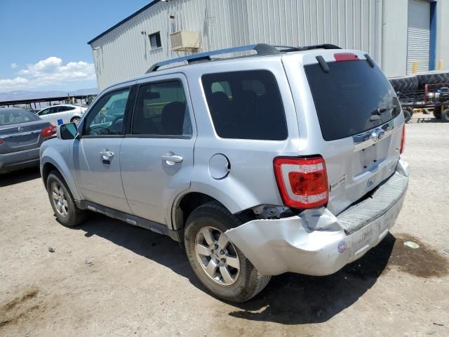 2011 Ford Escape Limited