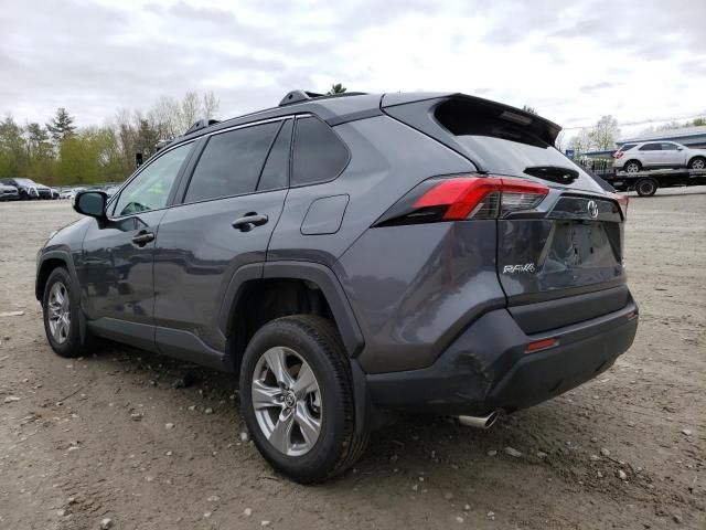 2024 Toyota Rav4 XLE