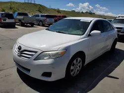 Salvage cars for sale at Littleton, CO auction: 2010 Toyota Camry Base
