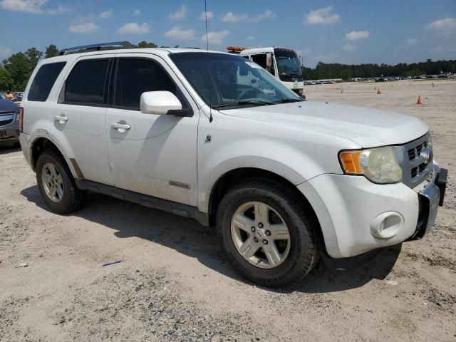 2008 Ford Escape HEV