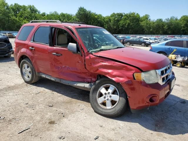 2010 Ford Escape XLT