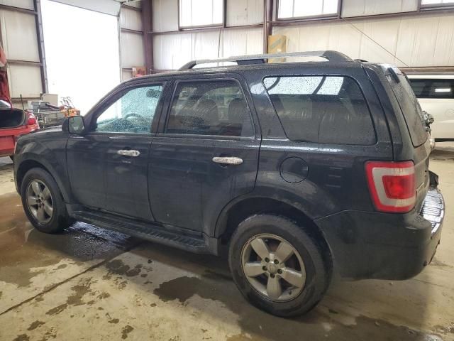 2011 Ford Escape Limited