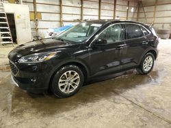 Salvage cars for sale at Columbia Station, OH auction: 2021 Ford Escape SE