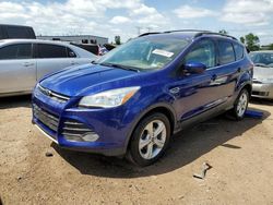 Ford Escape se salvage cars for sale: 2013 Ford Escape SE