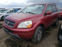 Salvage cars for sale at Brighton, CO auction: 2005 Honda Pilot EX