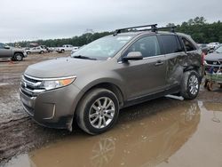 Salvage cars for sale at Greenwell Springs, LA auction: 2013 Ford Edge Limited