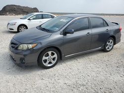 Salvage cars for sale at Temple, TX auction: 2013 Toyota Corolla Base