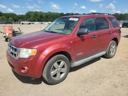 Salvage cars for sale at auction: 2008 Ford Escape XLT