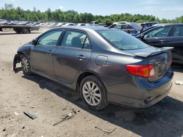 2010 Toyota Corolla Base