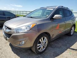 Salvage cars for sale at Mcfarland, WI auction: 2013 Hyundai Tucson GLS