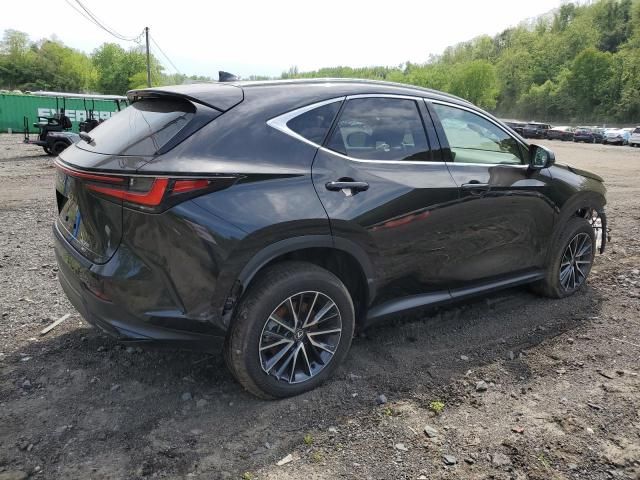 2024 Lexus NX 350 Premium