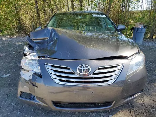 2009 Toyota Camry Hybrid