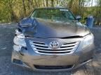 2009 Toyota Camry Hybrid