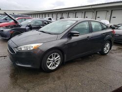 Salvage cars for sale from Copart Louisville, KY: 2016 Ford Focus SE