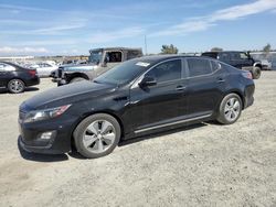 Salvage cars for sale at Antelope, CA auction: 2014 KIA Optima Hybrid