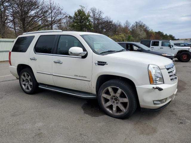 2011 Cadillac Escalade Luxury