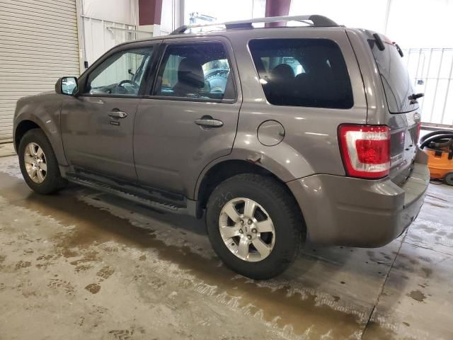 2011 Ford Escape Limited