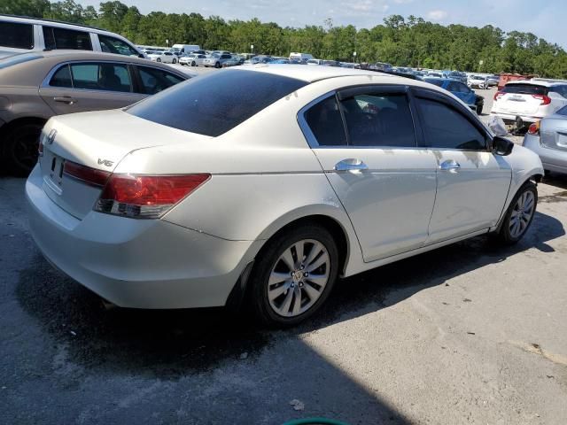 2011 Honda Accord EXL