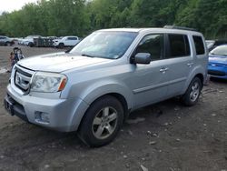 Honda salvage cars for sale: 2010 Honda Pilot EXL