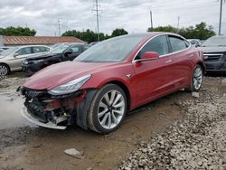 Salvage cars for sale at Columbus, OH auction: 2019 Tesla Model 3
