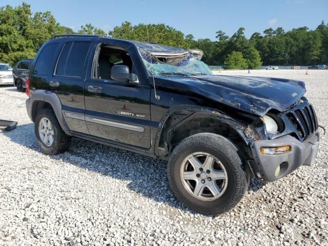 2002 Jeep Liberty Sport