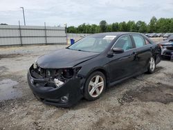 Salvage cars for sale at Lumberton, NC auction: 2013 Toyota Camry L