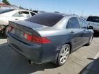 2004 Acura TSX