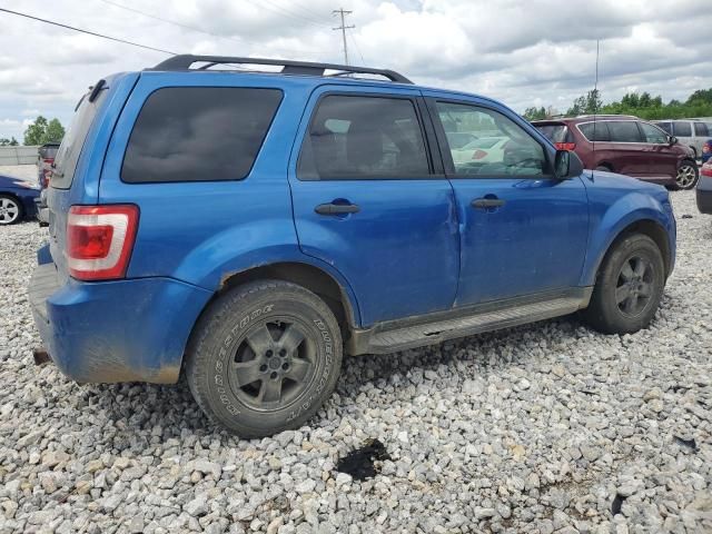 2011 Ford Escape XLT