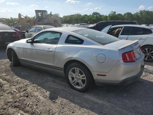 2010 Ford Mustang