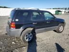 2007 Ford Escape XLT