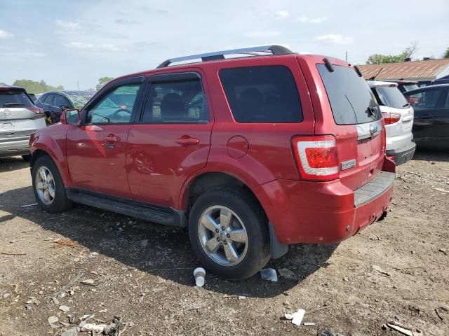 2010 Ford Escape Limited