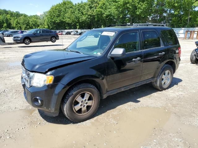 2010 Ford Escape XLT