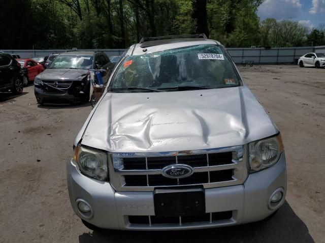 2009 Ford Escape XLT