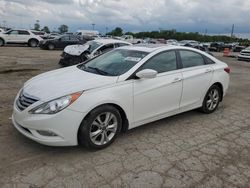 Salvage cars for sale at Indianapolis, IN auction: 2011 Hyundai Sonata SE