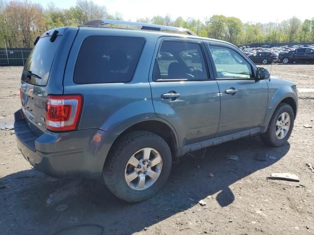 2010 Ford Escape Limited