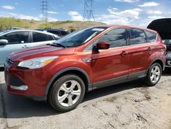 Salvage cars for sale from Copart Littleton, CO: 2015 Ford Escape SE