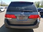 2010 Honda Odyssey EXL