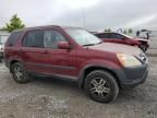 2004 Honda CR-V EX