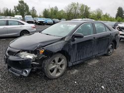 Salvage cars for sale at Portland, OR auction: 2013 Toyota Camry SE