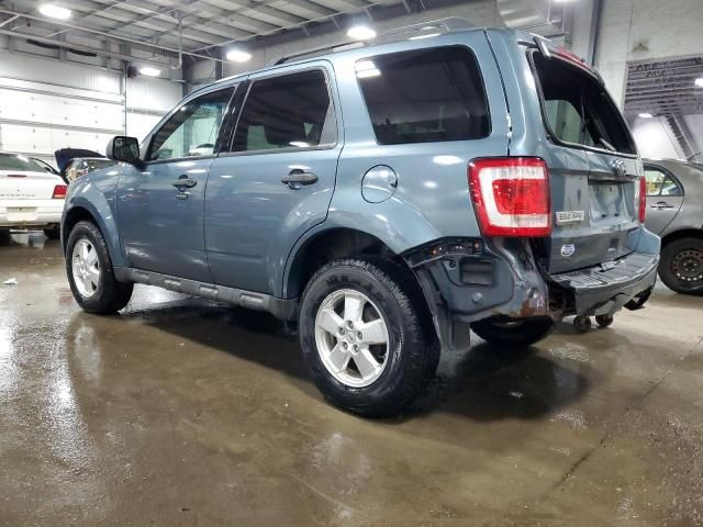 2010 Ford Escape XLT