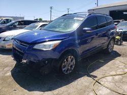 Salvage cars for sale at Chicago Heights, IL auction: 2013 Ford Escape SEL
