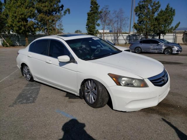 2011 Honda Accord EXL