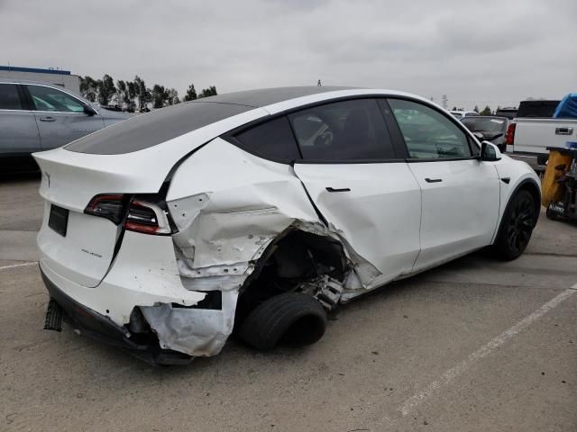 2020 Tesla Model Y